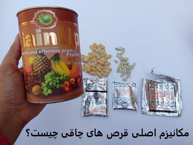 مکانیزم اصلی قرص های چاقی چیست؟ 7 مکانیزم اصلی قرص های چاقی چیست؟